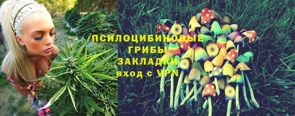 спиды Няндома