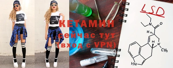 гашик Новодвинск